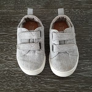 Toms Toddler size 6